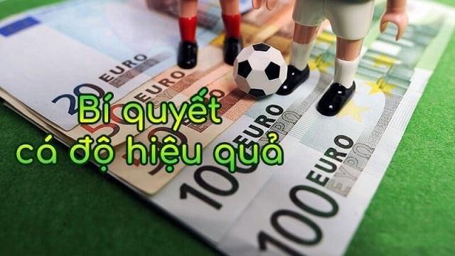 Những điều cần biết về cá cược bóng đá chuyên sâu