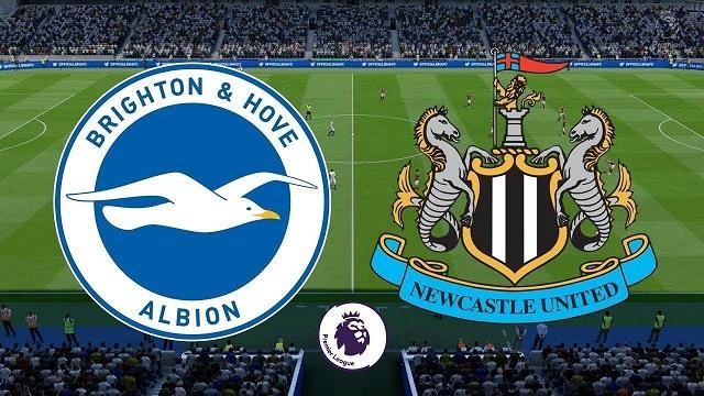 Soi kèo bóng đá 88FUN trận Brighton & Hove Albion vs Newcastle United, 0h00 – 21/7/2020