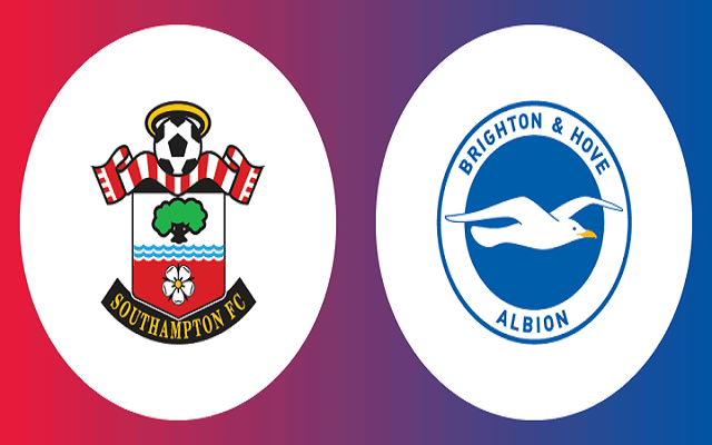 Soi kèo bóng đá 88FUN trận Southampton vs Brighton, 02h15 – 17/07/2020