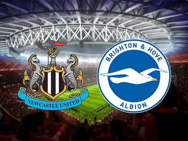 Soi kèo bóng đá 88FUN trận Newcastle vs Brighton, 20:00 – 20/9/2020