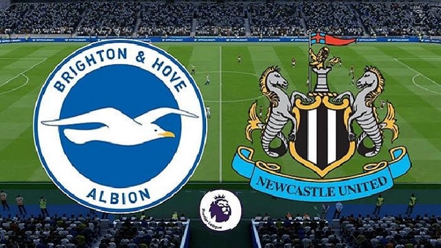 Soi kèo bóng đá 88FUN trận Brighton vs Newcastle, 3:00 – 21/03/2021