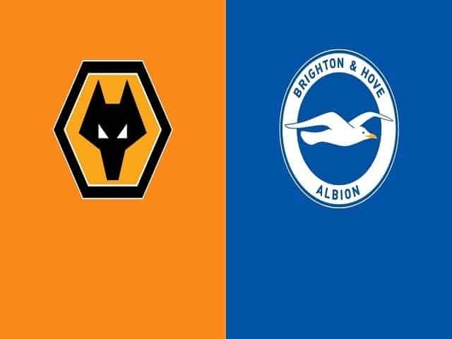 Soi kèo bóng đá 88FUN trận Wolves vs Brighton, 18:00 – 09/05/2021