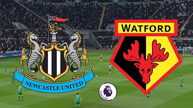 Soi kèo bóng đá 88FUN trận Newcastle vs Watford, 22:00 - 15/1/2022