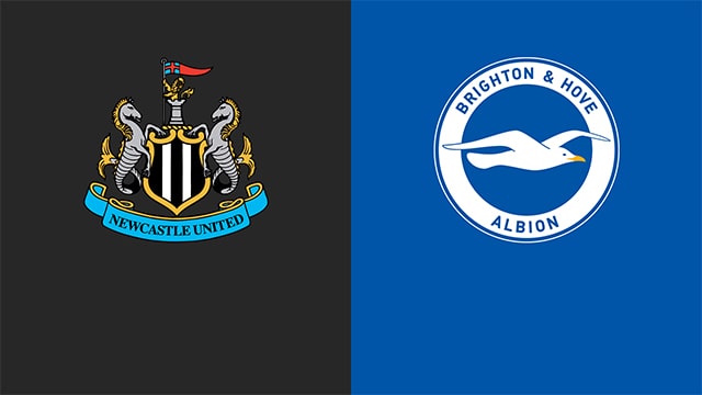 Soi kèo bóng đá 88FUN trận Newcastle vs Brighton, 22:00 - 5/3/2022