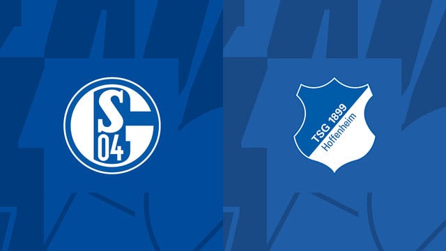 Soi kèo bóng đá 88FUN trận Schalke vs Hoffenheim, 01:30 – 15/10/2022